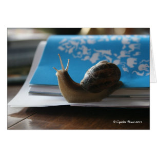 Laat de zon schijnen!