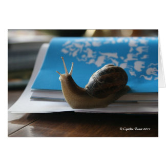 Laat de zon schijnen!