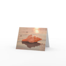 Laat een kleine Sparkle Horse conch Shell-kaart ac