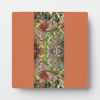 Laat foto herfst achter fotoplaat