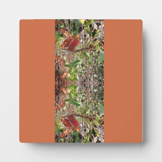 Laat foto herfst achter fotoplaat (Voorkant)