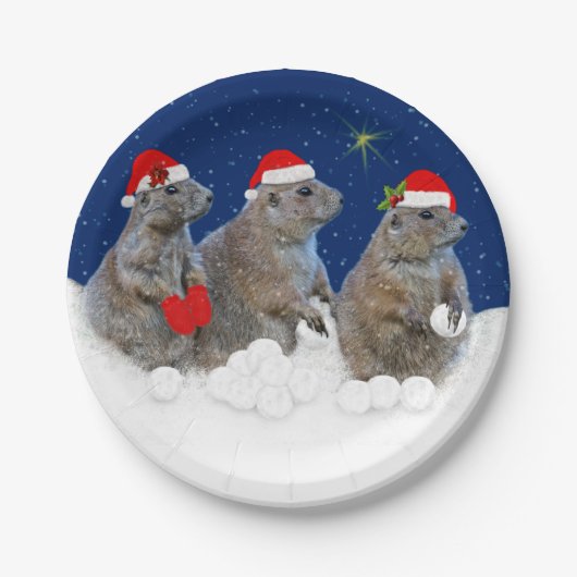 Laat het Bord van het sneeuwpapier (Voorkant)