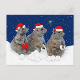 Laat het met Kerstmis Briefkaart sneeuwen