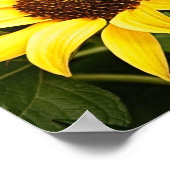 Laat het Poster van de Vrede van Christus heersen (Hoek)