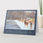 Laat het sneeuwen! -Blanco Kaart (Voorkant)