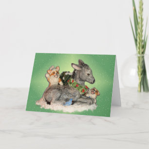 Laat het sneeuwen! Corgis & Donkey Kerst Kaart