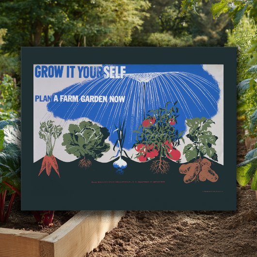 Laat het zelf groeien briefkaart