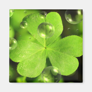 Laat je geluk niet wegspoelen magneet