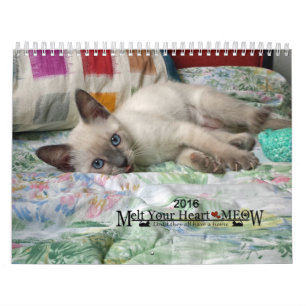 Laat je hart zien - MEOW 2016 Kitten Calendar Kalender