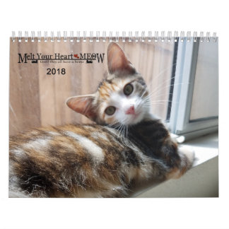 Laat je hart zien - MEOW 2018 Kitten Calendar Kalender