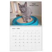 Laat je hart zien - MEOW 2021 Kitten Calendar Kalender (Mar 2026)
