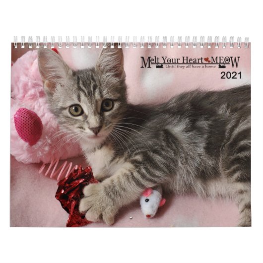 Laat je hart zien - MEOW 2021 Kitten Calendar Kalender (Hoes)