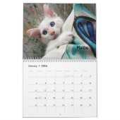 Laat je hart zien - MEOW 2021 Kitten Calendar Kalender (Jan 2026)