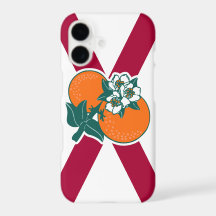 Laat je kleuren zien - Florida