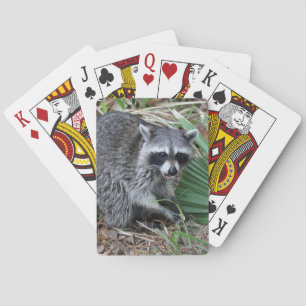 Laat me alleen pokerkaarten