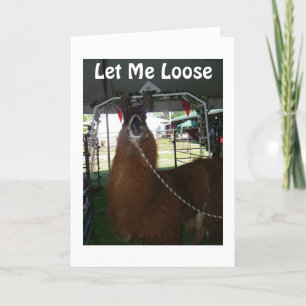 LAAT ME LOS OM GELUKKIGE VERJAARDAG TE ZEGGEN KAART