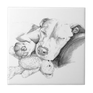 Laat slapende honden los tegeltje