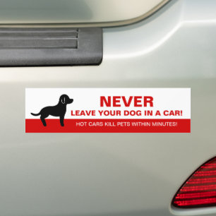 Laat uw hond nooit in een auto met een dog Silhoue Bumpersticker