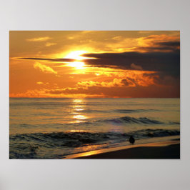 Laatste Sandpiper Poster