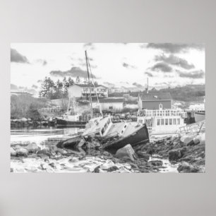 Laatste standaard van Tugger (b&w) Poster