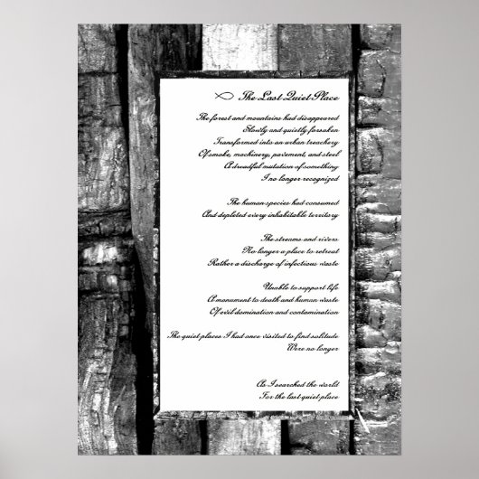 Laatste stille plaats poster (Voorkant)