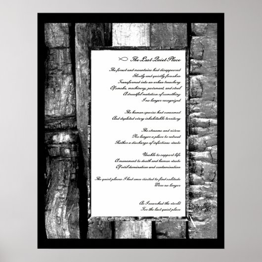 Laatste stille plaats poster (Voorkant)