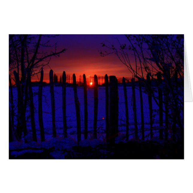 LAATSTE WINTERZON (Voorkant Horizontaal)