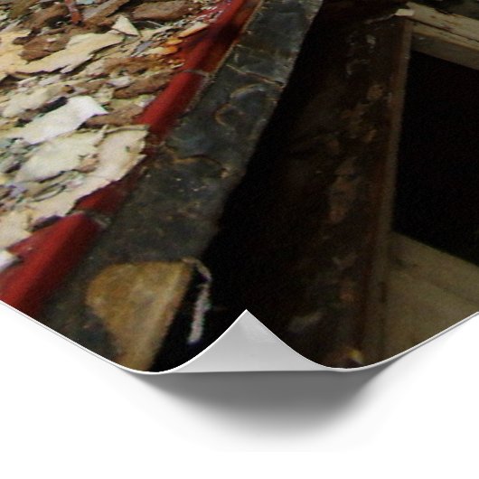 Lab Decay Poster (Hoek)