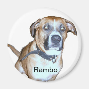 Lab Dog magnet Magneet
