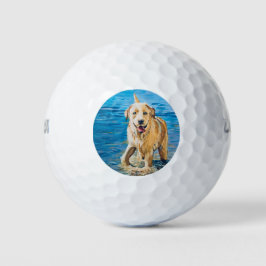 Lab Love Golf Balls Golfballen
