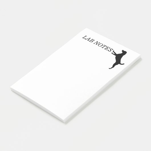 LAB NOTES Post-it Notes (Schuin)