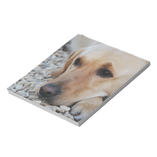 Lab-portret Notitieblok (Gedraaid)