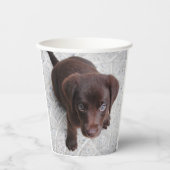 Lab Puppy Papieren Bekers (Voorkant)