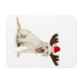 Lab Puppy Wearing Antlers Magneet (Horizontaal)