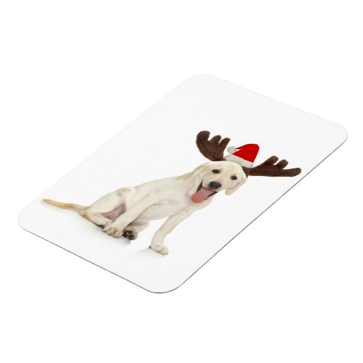Lab Puppy Wearing Antlers Magneet (Linkerzijde)