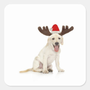 Lab Puppy Wearing Antlers Vierkante Sticker