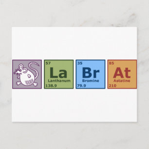 Lab Rat Briefkaart
