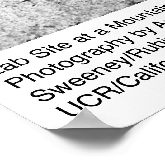 Lab Site in een berg door Ansel Adams Poster (Hoek)