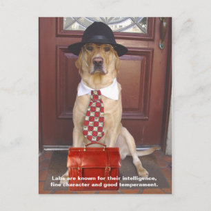 Lab Traits - Fine Character Briefkaart