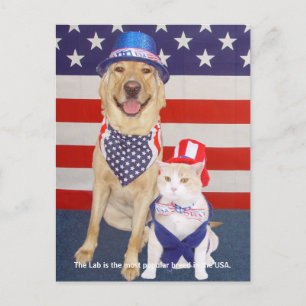 Lab Traits - Populair Briefkaart