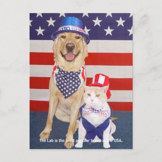 Lab Traits - Populair Briefkaart (Voorkant)