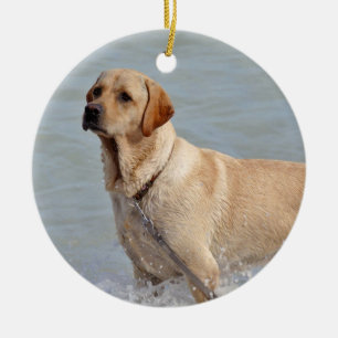 Lab Yellow Dog Water Foto Keramisch Ornament