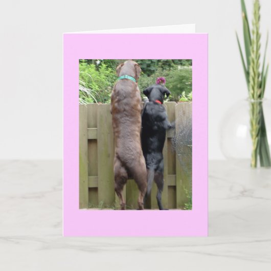 Labarador Honden kaart (Voorkant)