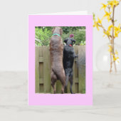 Labarador Honden kaart (Gele Bloem)