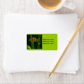 Label kleine vis (Insitu)