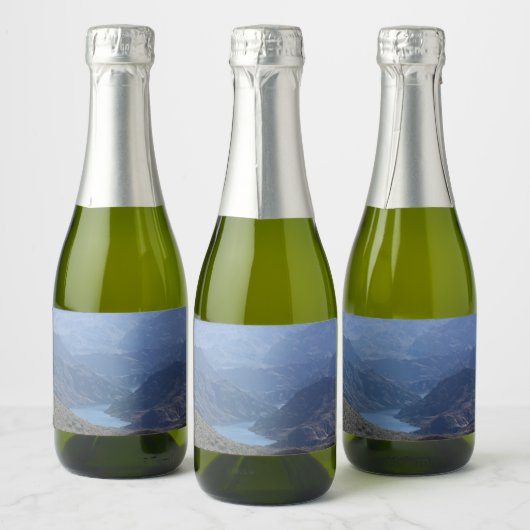 Label Meade-fles Sparkling Wijnetiket (Flessen)