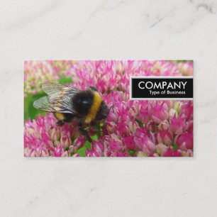 Label rand - Bumble Bee op sedum