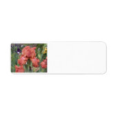 Label retouradres (Voorkant)