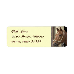 Label retouradres Arabisch paard