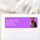 Label retouradres Yorkshire Terrier (Insitu)